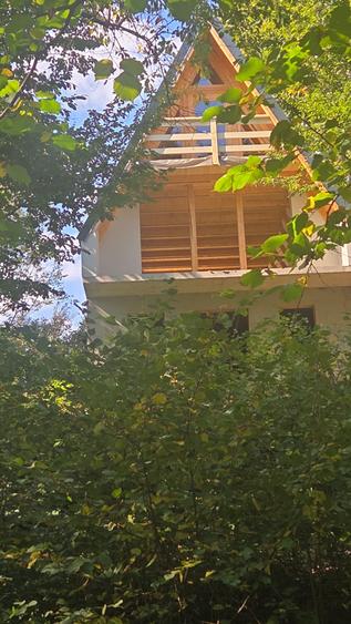 CHIUZBAIA -CABANA in zona pitoreasca de cabane si liniste sufleteasca!