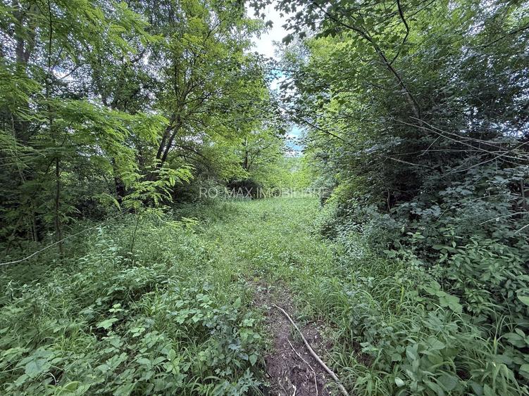 Teren plat-intravilan -3800 mp, cu pădurice și ieșire la râu! - 19