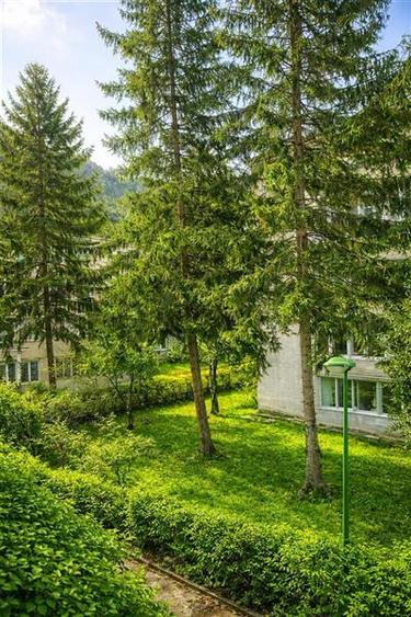 Apartament 2 camere,luminos,incadrat de liniste si verdele naturii,Ultracentral,