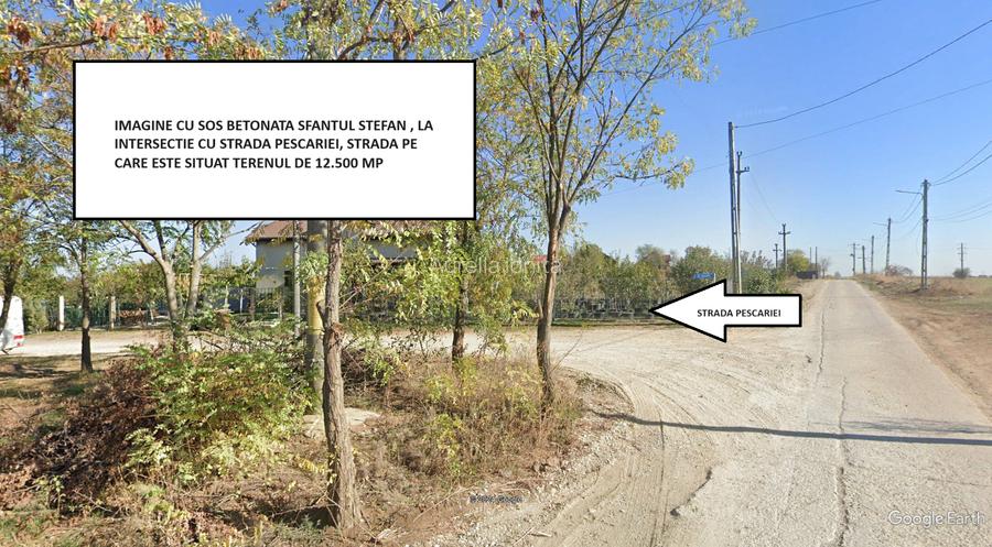 Teren Intravilan Periș – 12.500 mp - Direct Proprietar - Oportunitate Investiție - 4