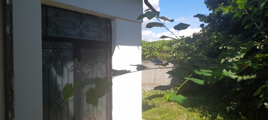 Casa in Darmanesti - 5
