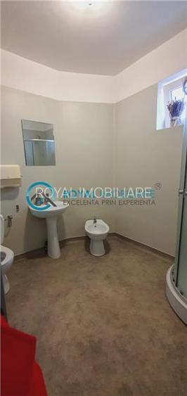 Royal Imobiliare-Inchiriere Spatiu Comercial Zona Bulevardul Independentei - 24