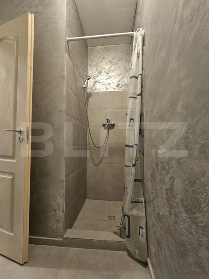 Proprietate de inchirat, 19 dormitoare, zona Dumbravita