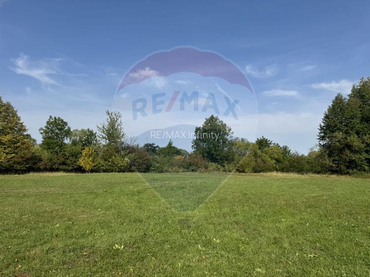 Teren 10.000 mp Calatele – Apuseni, langa rau, ideal investitie turism - 4
