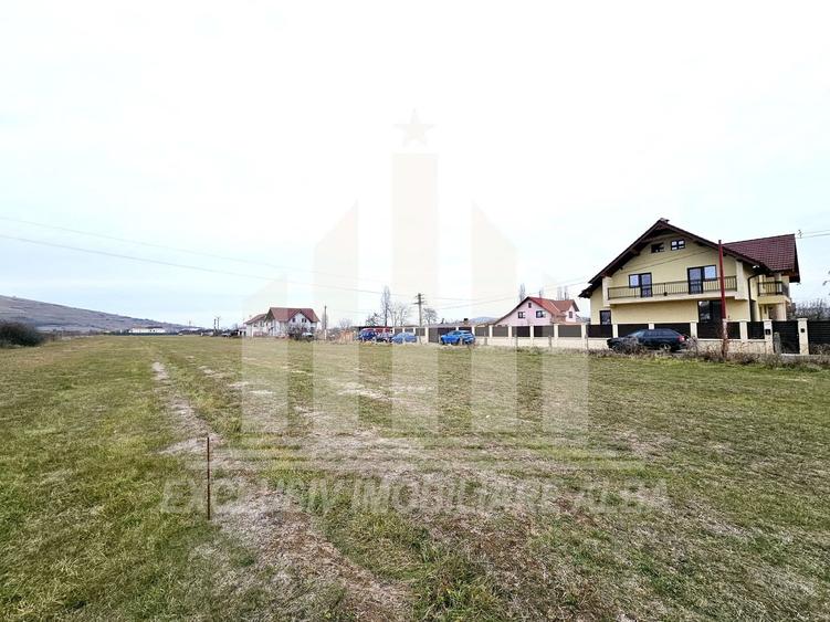 Teren intravilan | 3000 mp | 12 ml deschidere | Barabant