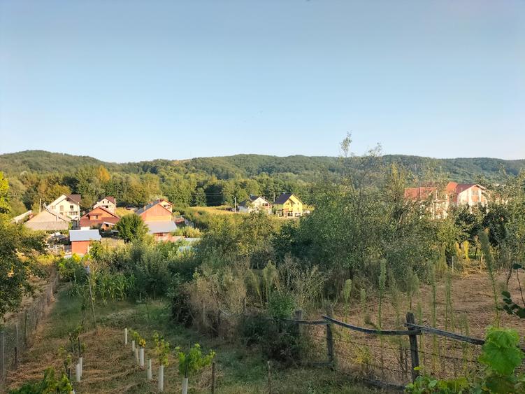 Casă la țară cu livadă, grădină și aer curat - Vulturești, Argeș