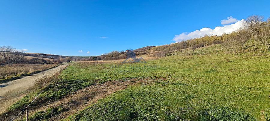 Teren intravilan 2500 mp \Sibiu \Sura Mare