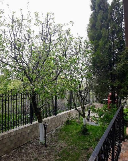 Vila de vanzare Iancu Nicolae Serban Cantacuzino