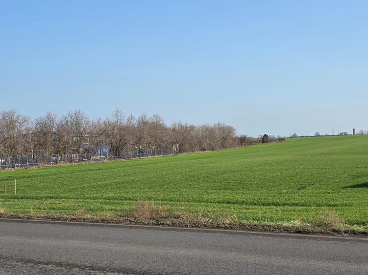 Teren de vanzare in Agigea zona registrul Auto