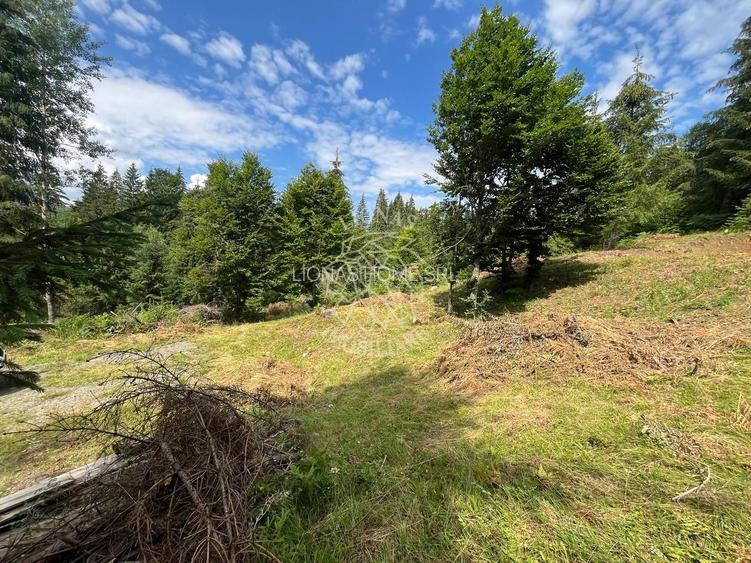 Teren intravilan 1074 mp cu utilitati-ideal pensiune, cabane-Colibita