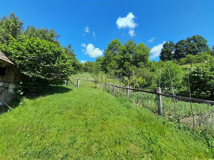 Vanzare casa cu anexe si 5500 mp teren, Valea Ariesului, Salciua - 10