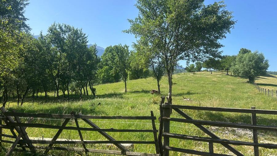 Teren Sohodol cu vedere catre M-tii Bucegi