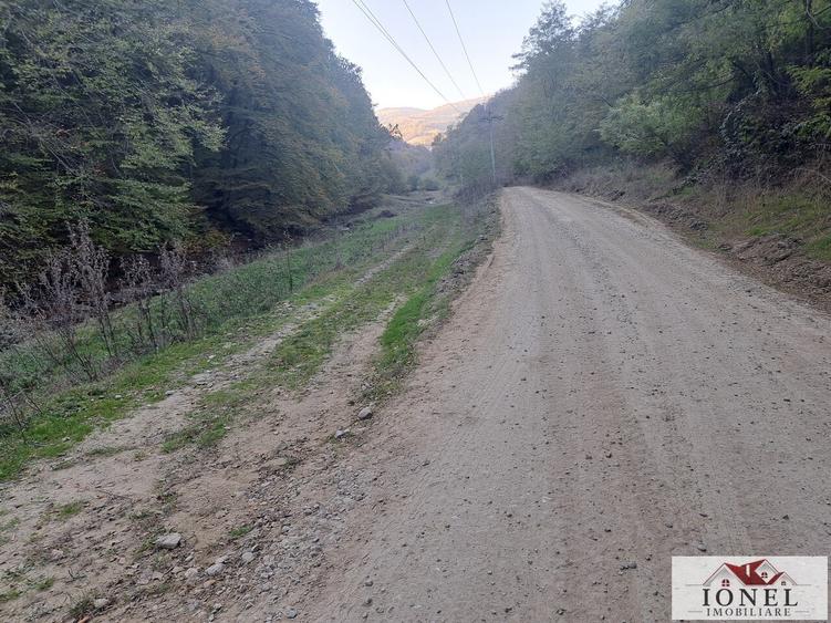 Vanzare casa cu 17.399 mp teren in Vintu de Jos - Valea Vintului
