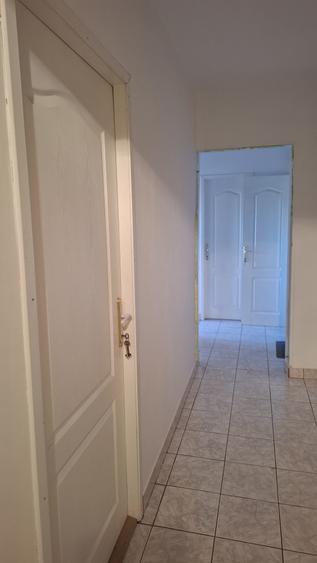 Apartament  tip penthouse, 132 mp, 4 camere în Nadlac