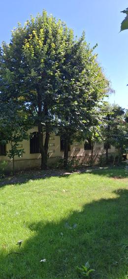 Vila de vanzare 9 camere de vanzare, Centru Civic - Iasi