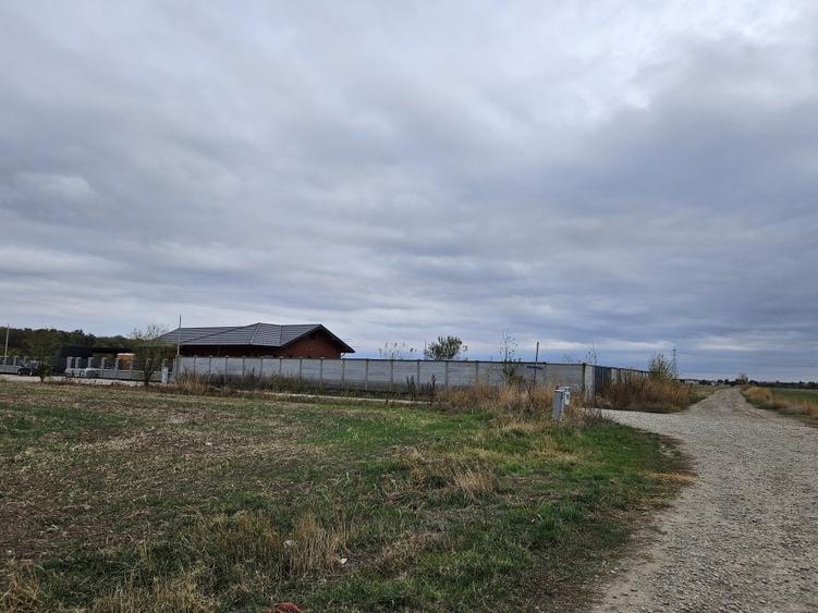 SNAGOV  TANCABESTI- STRADA MIHAI EMINESCU
