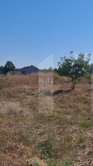 Teren 2.000 mp | Deschidere 22 m | 2 intrări | Slatina - 5