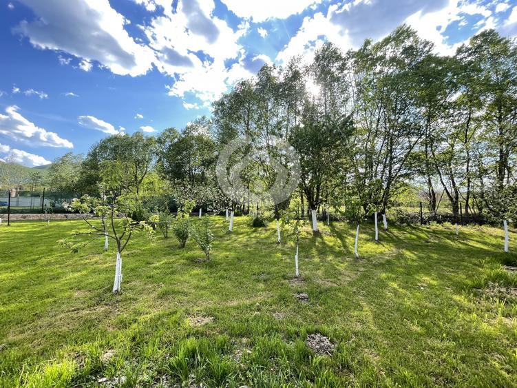 VANZARE CASA INDIVIDUALA | 1000 MP TEREN | TOCILE, SIBIU