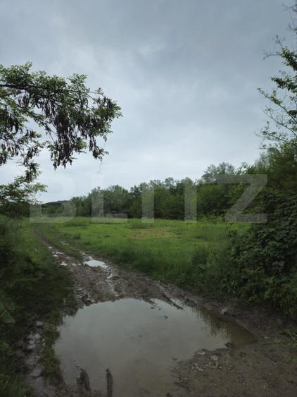 Teren Intravilan de vanzare, în Exclusivitate, Fără Comision la Achiziție