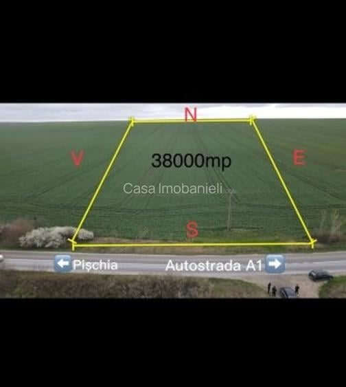 Giarmata Mare ,judetul Timis/teren 3,8 ha/preț  4 euro /mp - 5