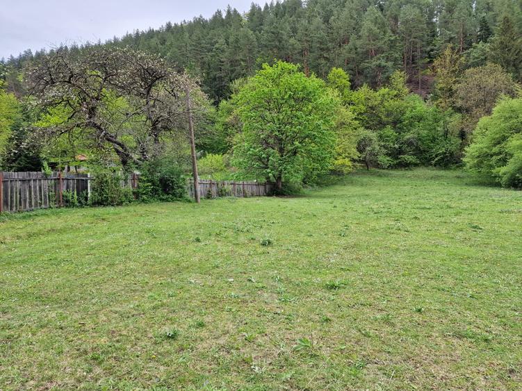 Teren intravilan 2936 mp. Bistrița jud Neamt
