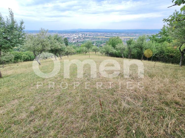 Teren de vânzare | Suprafață 10.040 mp | 2.500 € / ar | Strada Nucului