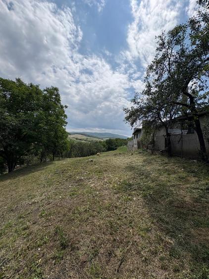 Teren 22 ari Ortelec -14 ari intravilan+8ari extravilant 49.000eur neg