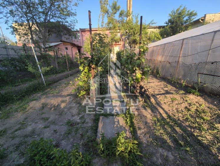 AP. 94MP 4CAM PARTER+GRADINĂ150MP GIARMATA-Timișoara - 10