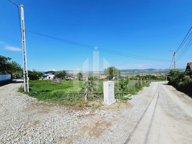 Teren intravilan | De vanzare | 3000 mp | 85 ml deschidere | Micesti