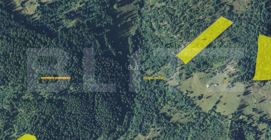 Teren 11.144 mp, pădure, Campulug Moldovenesc - 2