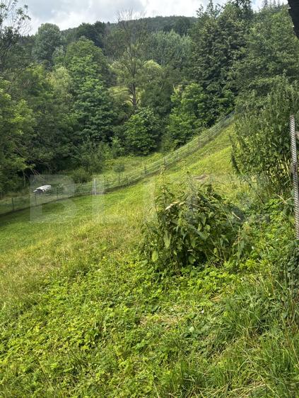 Teren intravilan de vânzare, 6500mp + o casă bătrânească, în Voroneț