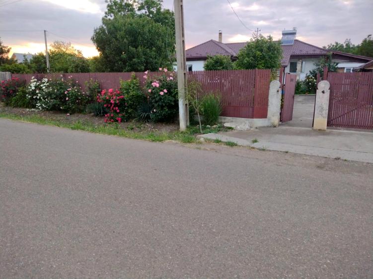 Casă cu grădină și livadă - la doar 10 minute de autostradă