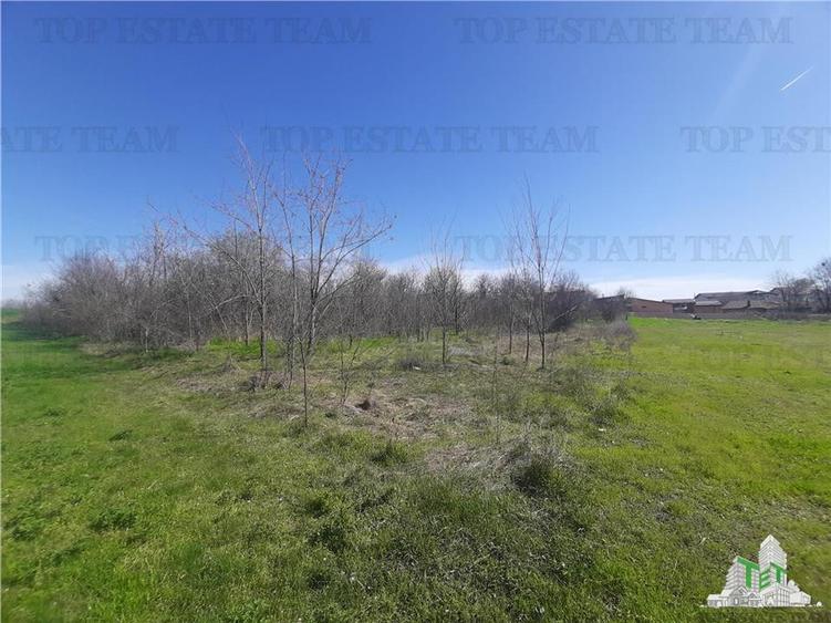Teren 4000 mp + casa demolabila in Bragadiru/Varteju (Magurele)