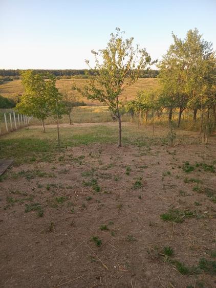 Casă cu panoramă înspre pădure