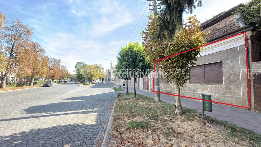 Apartament in Casă 2 camere Teren 100 mp / Str. 1 Dec. 1918 - Carei - 2