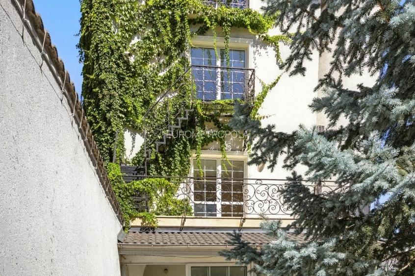 Vila cu arhitectura deosebita, adiacent Bd-ului  Lascar Catargiu, refacuta - 18