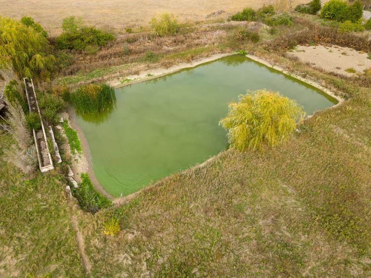 Teren 13.418 mp intravilan cu casă și 2 iazuri
