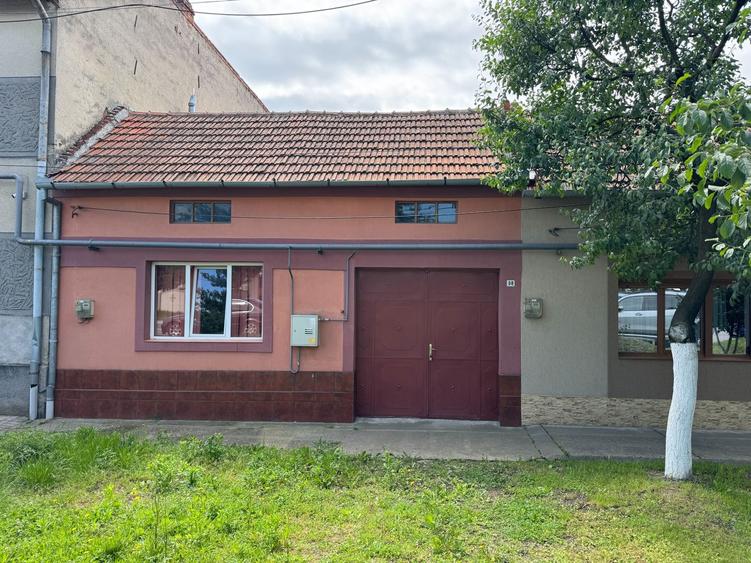 Casa in Lugoj pe Str. Fagetului