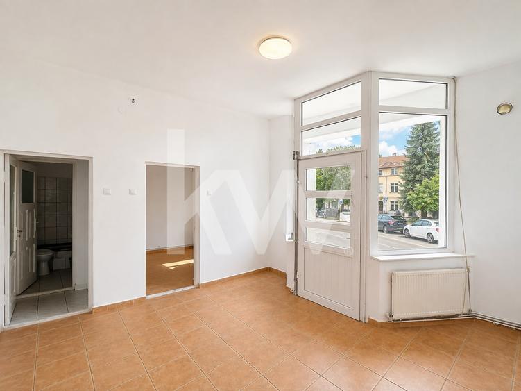 SPATIU COMERCIAL 30MP | SUPRAFATA VITRATA 4 ML | Zona Astra