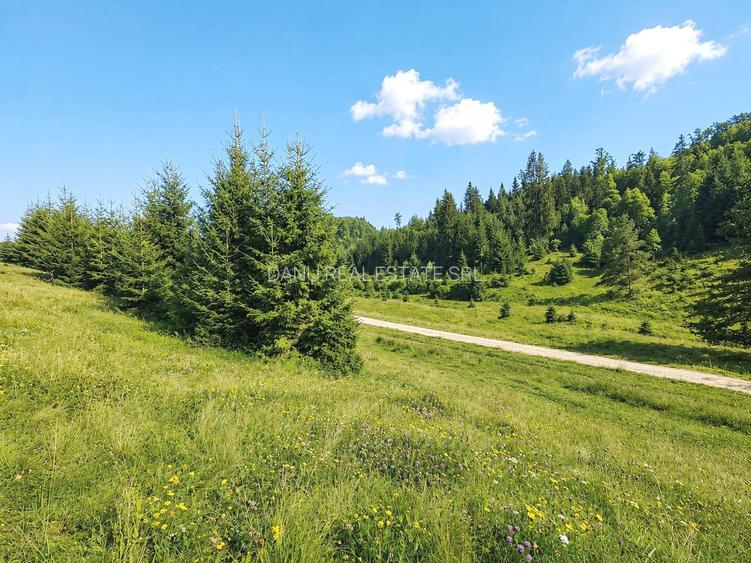 Oportunitate Investiție–Teren Intravilan 2.763 mp, Poiana Brașov Str. Stânii - 10