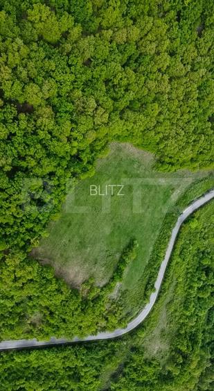 Teren superb, în mijlocul naturii, 18.360 mp, la Cărjiți - 6