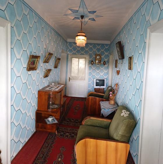 Harsova-CETATEA CARSIUM- casa boiereasca