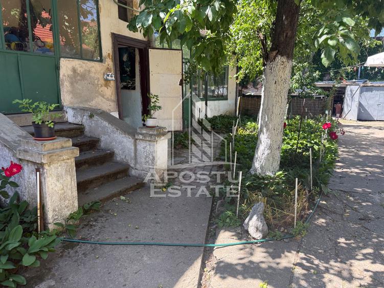 Două case de vânzare în aceeași curte zona Maria