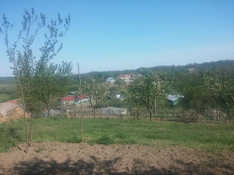 Loc de casa la Tulbureni
