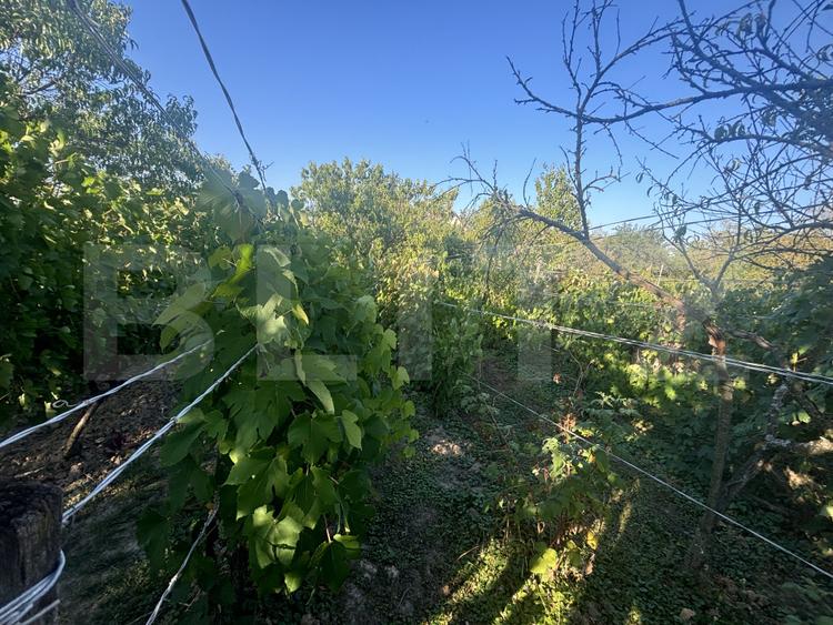 Casă de vânzare, 77 mp, teren 10 ari, zona Viile Satu Mare