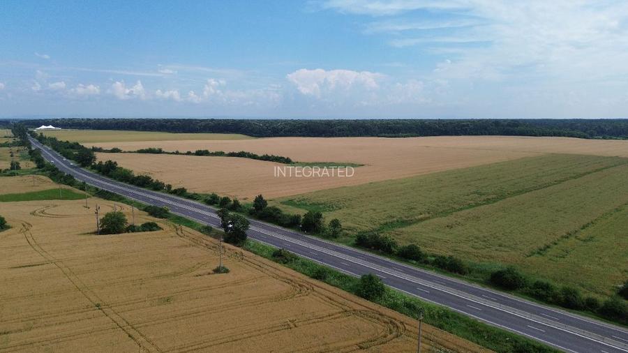 Ciolpani, Teren intravilan 4.5 Hectare - 7