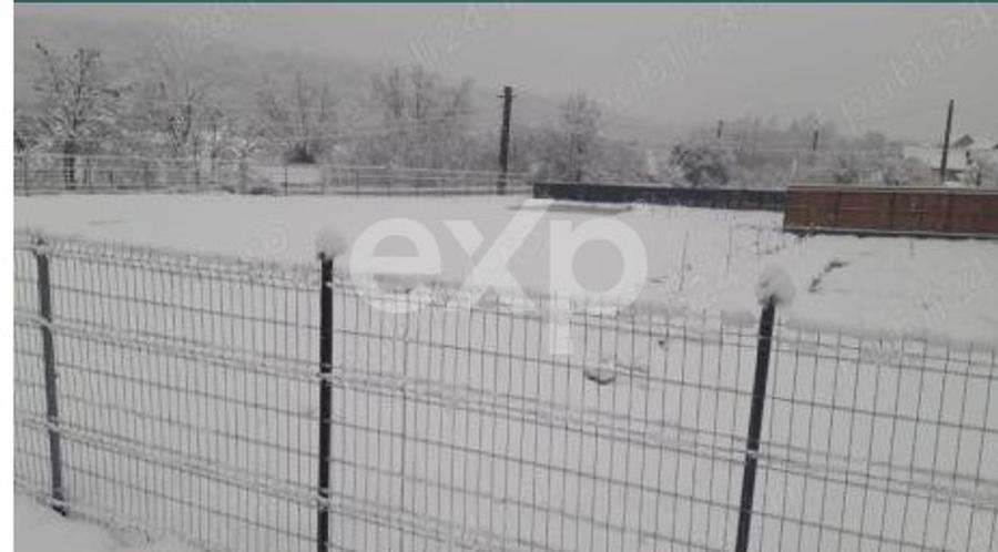 Teren intravilan 1.000 mp | Băbana | Stradal | Asfalt | Utilități la limită