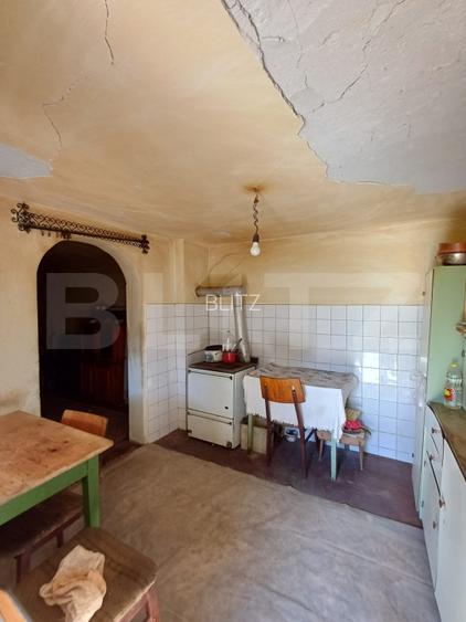 Casa renovabila cu 11508 mp teren, in Copaceni - 20