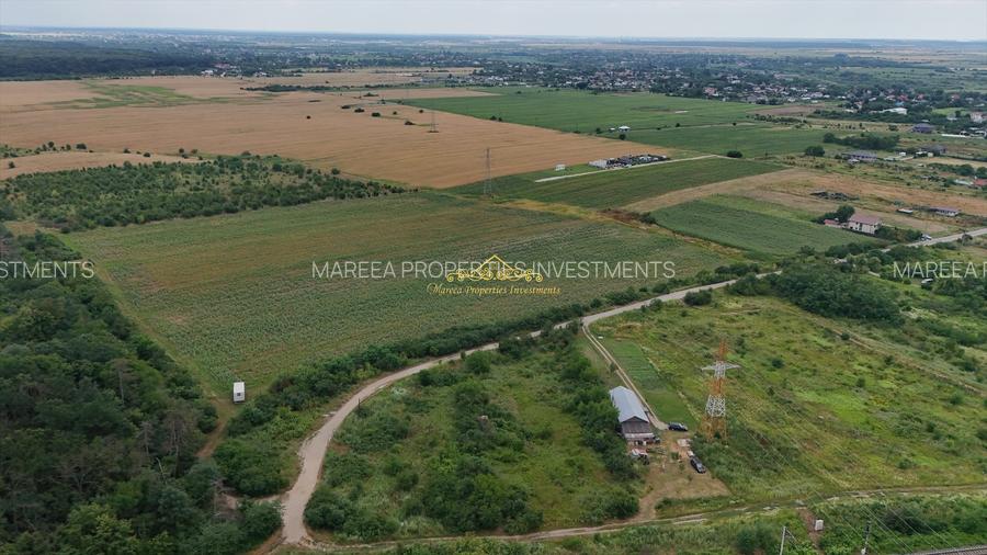 Teren intravilan Peris 10.000 mp pt complex de case - 6