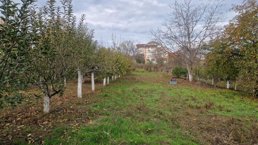 TEREN INTRAVILAN STRADA MIRCEA VODA-2000MP, DESCHIDERE STRADALA 21 MP